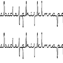 ECG saji Font File