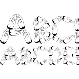 Pinho Font File
