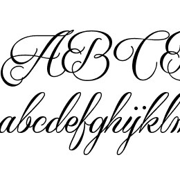 Qaskin Black Font File